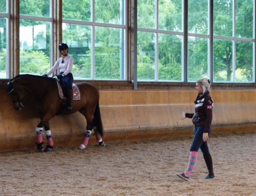 The Shift to Grand Prix: A Deeper Conversation in Dressage