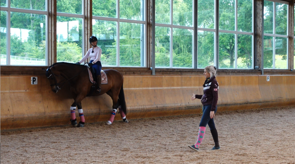 Dressage Institute Forum
