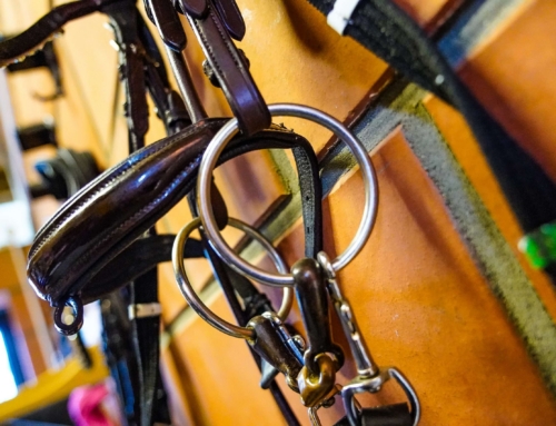 The Pulley System: Understanding Its Role in Control and Balance