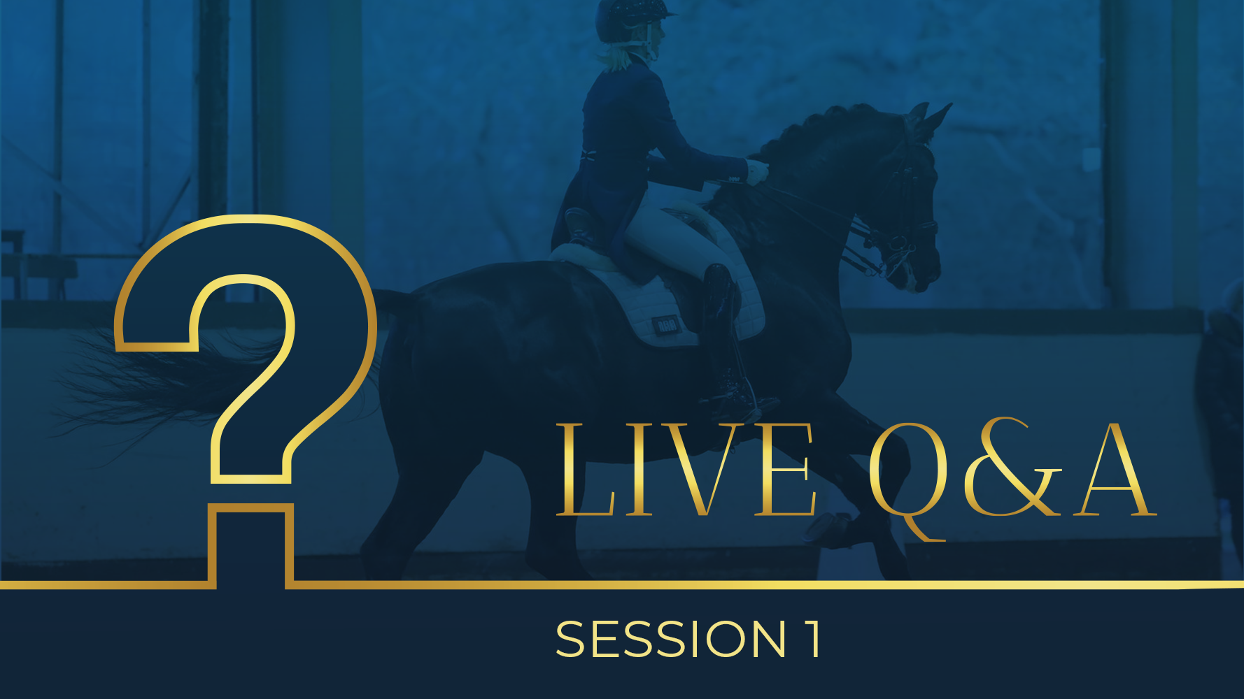 Dressage institute Live Q&A Session with Alicia Dickinson