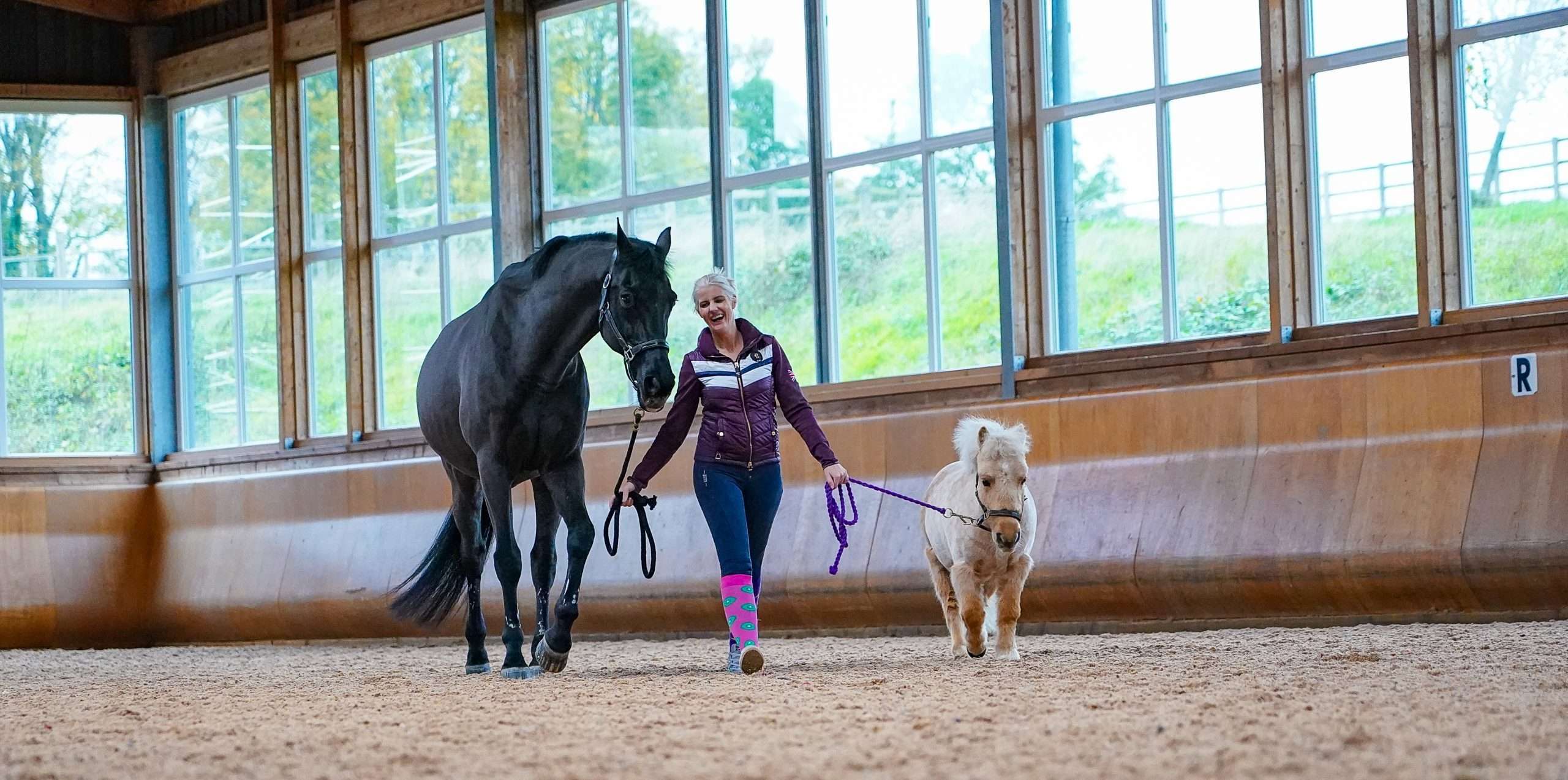 Private Coaching Dressage Institute
