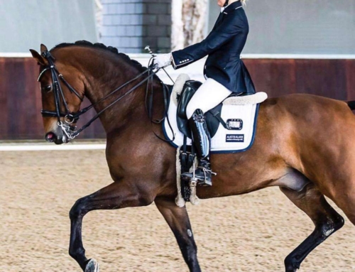 Passage: Precision, Rhythm, and Collection