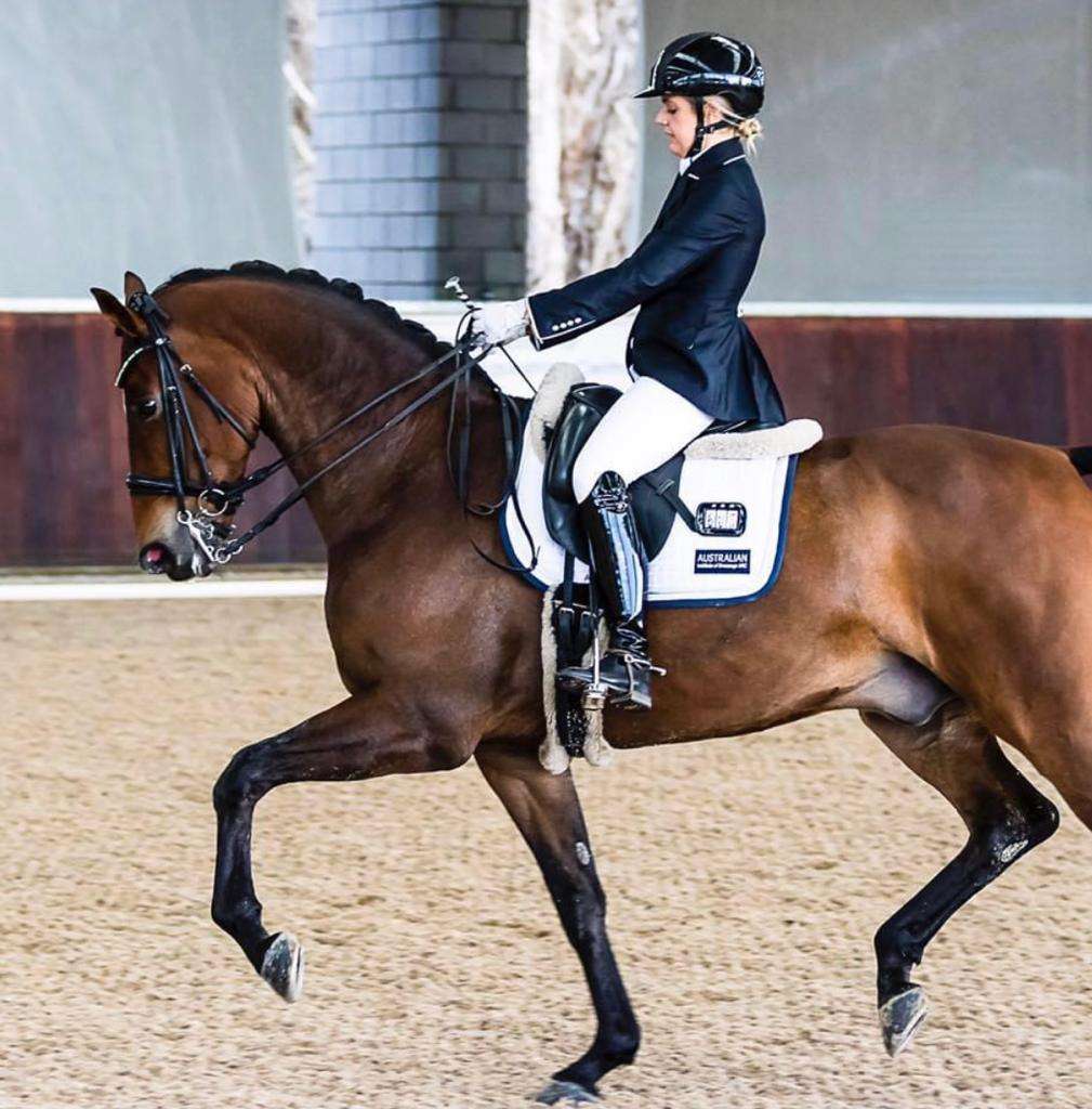 Dressage Institute - balanced dressage rider series by Alicia Dickinson