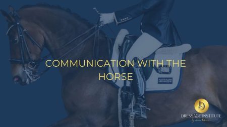 Communication with the horse explained by Dressage Institute