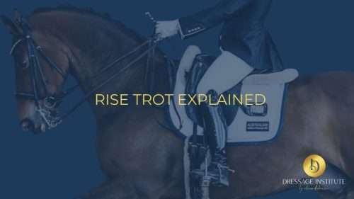 Rise Trot Explained by Dressage Institute