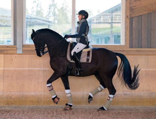 Frame or Back? The Difference Between Lifting the Head and Reshaping the Body