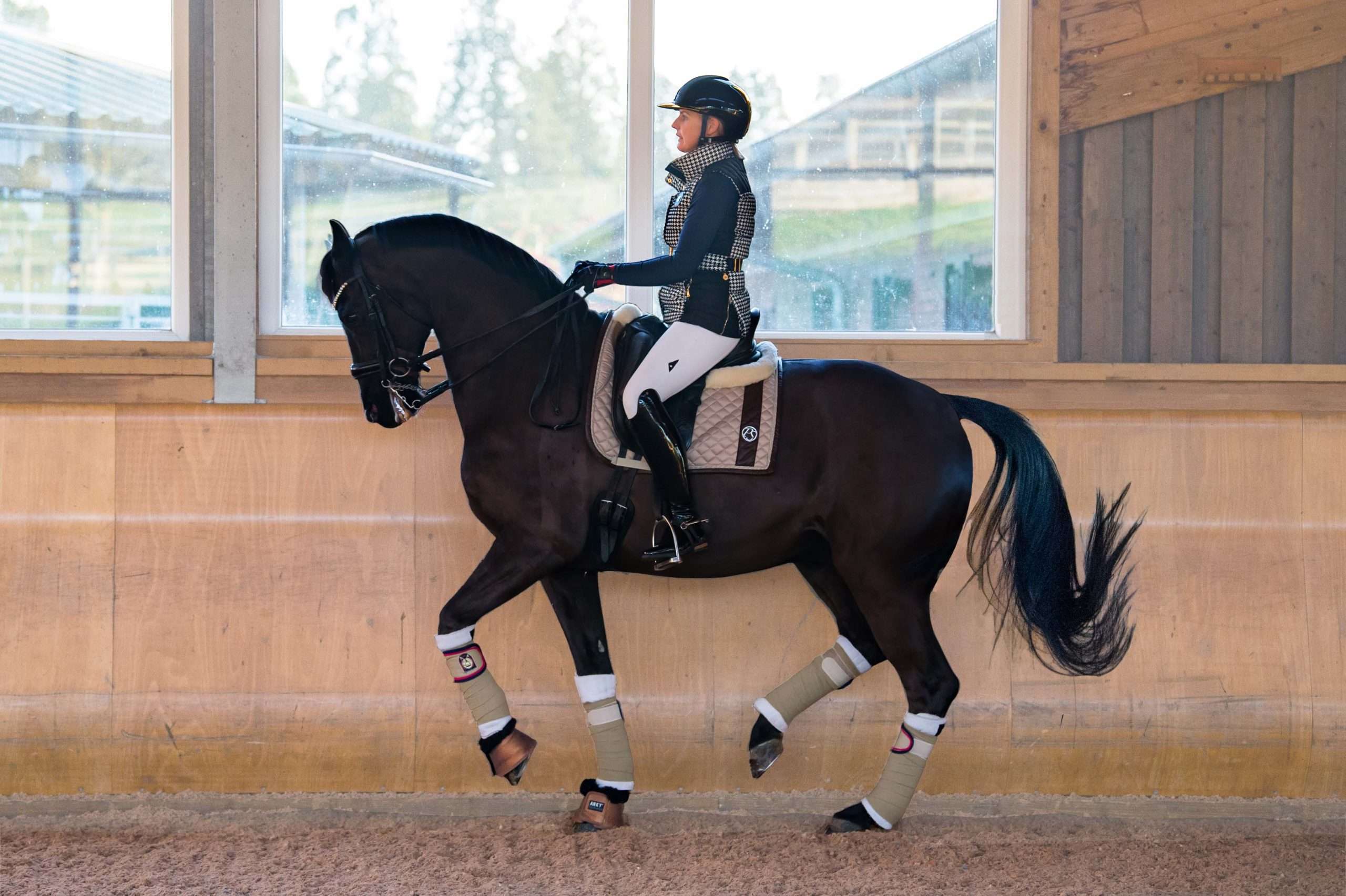 Dressage Institute - balanced dressage rider series by Alicia Dickinson