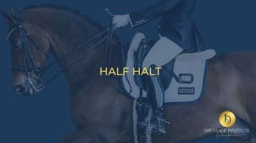 Half Halt Lesson Thumbnail