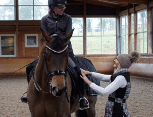 Understanding When You Are Doing Dressage And When You Are Doing Flatwork