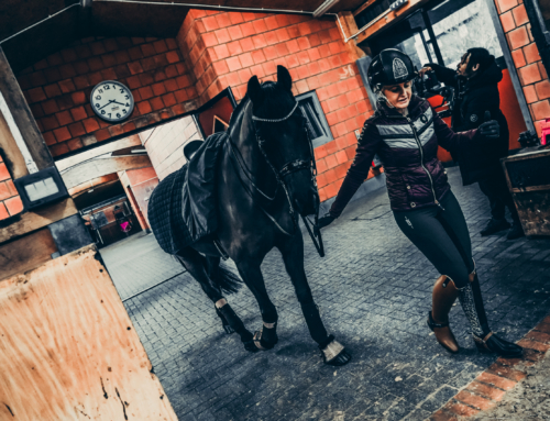 One Sport, Different Standards: An Insight into Scoring Across the World