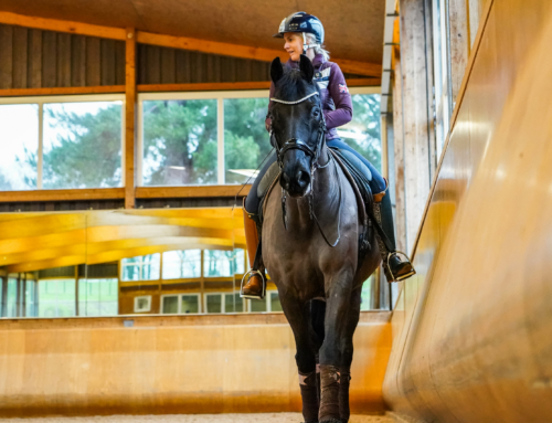 Transitions Within the Pace: Developing Strength and Power