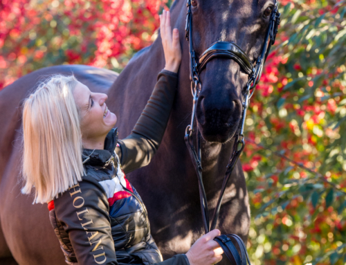 Optimising Horse and Rider Partnerships